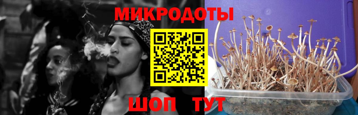 Галлюциногенные грибы ЛСД  Вход с VPN  Междуреченск 